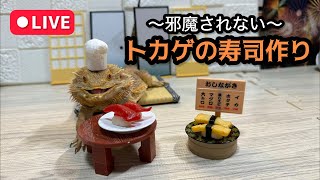 【登録者40万人記念】トカゲに邪魔され“ない”寿司作り