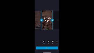 無料動画編集アプリ Quik の文字の入れ方