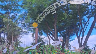 Ranganathittu Bird Sanctuary | ರಂಗನತಿಟ್ಟು ಪಕ್ಷಿಧಾಮ | @viyomkannadavlog