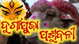 ଦୁର୍ଗାପୂଜା ଓ ପଶୁବଳୀ ||odia motivational video ||odia story video ||@mahimavastuseva