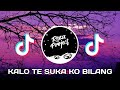 DJ KALO TE SUKA KO BILANG | VERSI SLOW | REMIX FULL BASS