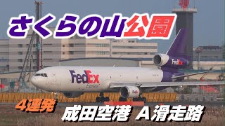 【4K】成田空港 さくらの山公園 Aランに離着陸する飛行機４連発