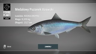 Fishing Planet Dnipro River Ukraine | Trophy Azov Shad | Medalowy Puzanek Azowski Rzeka Dnipro #fp