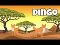 Learning Fun  Animals For Kids  Animal Facts #kidslearning #educationalfun #funkidsvideos