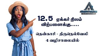 12.5 ஏக்கர் நிலம்  விற்பனைக்கு || ஆலங்குளம் to திருநெல்வேலி நான்கு வழிச்சாலை || #tenkasi #alangulam