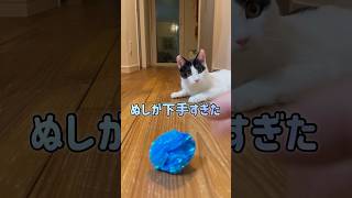 ボール遊びする猫。主のデコピン下手すぎてお待たせ#ねこ