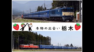 [完全 総集編] 『DD51-842＋12系客車＋EF64-1053・快速 本物の出会い栃木号[9525レ]』2018/4/1(JR日光線・今市駅～日光駅｢小峰ケ原踏切｣)