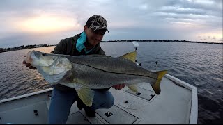 Big Snook Crushing a Topwater