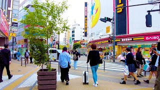 Hachioji, Tokyo 🐶🍻 A typhoon is approaching, be careful! ♪💖4K ASMR non-stop 1 hour 02 minutes