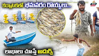 వనామీ రొయ్యల పెంపకం-లాభాలు చూస్తే అదుర్స్ | Vannamei Prawn Farming Techniques | MNR Annadatha