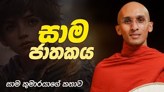 347. සාම කුමාරයාගේ කතාව | සාම ජාතකය | 2024-05-15