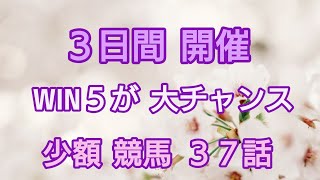 【競馬】阪神大賞典。堅そ～なレースがあるからWIN５ チャンスだよ♪