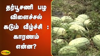 தர்பூசணி பழ விளைச்சல் கடும் வீழ்ச்சி : காரணம் என்ன? | WaterMelon Harvest