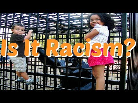 Why Is Everything Racist These Days? | SJWs Gone Too Far Why Is Everything Racist These Days? | SJWs Gone Too Far
