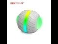 Bola Inteligente Interativa 360 graus Automatica Pet Ball USB Recarregável