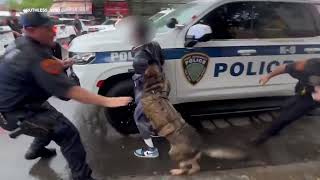 Suffolk County Police dog seen biting man at funeral for slain NYPD Detective