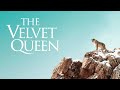 The Velvet Queen - Official Trailer