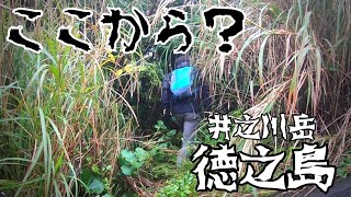 【徳之島】井之川岳登山とあまくま（あちこち）　世界自然遺産の島を感じる/自然の中で