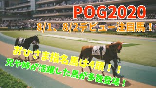 【POG2020】2歳新馬戦注目馬紹介（8/1、8/2）アカイトリノムスメの対抗は！？注目のトレデマンドvs.レッドベルオーブも！夏の札幌もアツいレースが…！【今週の新馬戦】