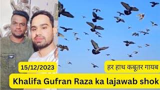 Khalifa Gufran Raza ka lajawab shok (talim ustad Abba Sariq) 15/12/2023 #show #viral #pigeonlover