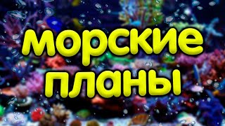 Какое бюджетное мини море я планирую сделать.