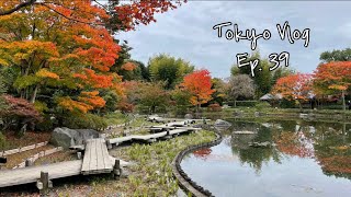 東京生活Ep.39「昭和紀念公園」感受#東京 微微秋意/#紅葉 觀賞景點 #tokyo #japan #autumn