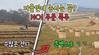 겨울철 잔디 농사는 끝인 걸까? 그렇지 않습니다