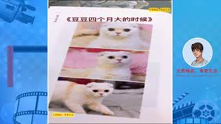 Funny cat！现在的猫咪都成精了，会说话，会逗笑！P2