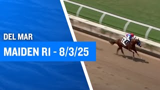 2YO MSW at Del Mar (R1) - August 3rd, 2025