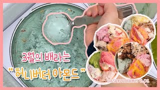 •ENG• 3월 배스킨라빈스는 달달하게! | 아이스허니버터아몬드, 이달의맛, 세로담기 | BaskinRobbins Vlog