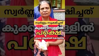 കുക്കറിൽ സ്വർണ്ണം | ആക്രി കൊണ്ടുപോയത് | kerala gold rate#gold#facts#news