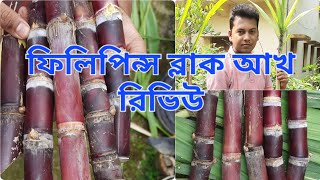 ফিলিপাইন্স ব্লাক আখ সত্যিই কি নখ দিয়ে ছারানোর উপযোগি !!!( Philippine black sugar cane)