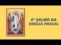 Salmo 18 - Senhor, tens palavras de vida eterna - Sexto salmo da Vigília Pascal