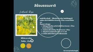 Ep.1สีย้อมผ้าที่ได้จากธรรมชาติโดยการนำส่วนต่างๆของพืชเช่น ดอก ผล ราก เปลือกลำต้นมาต้มสกัดเป็นสีย้อม