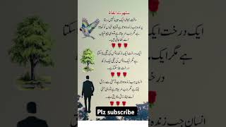 Urdu sonhary alfaz quite reels poem #short's#varil#vadio