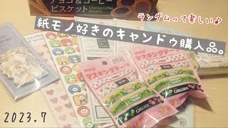 紙モノキャンドゥ購入品。meijiマスキングテープ✨