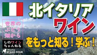 【北イタリア】ワインを知る！学ぶ！本編動画（モンテ物産） しのワインちゃんねる　世界のぶどう畑からシリーズ（2022.07）