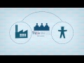 TU/e SURE Innovation: from high potential to high-tech professional