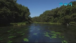 ふじのくに「水の都」しずおか　～柿田川・丸池・清住緑地・源兵衛川～