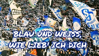 Schalke 04 Hymne "Blau und Weiß, wie lieb' ich dich"