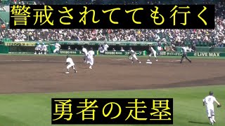 【甲子園】海星・平尾幸志郎、好走塁で本塁生還【2023.3.20】