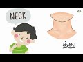 உடலின் பாகங்கள் தமிழ் மற்றும் ஆங்கிலத்தில் parts of the body english and tamil parts of the body