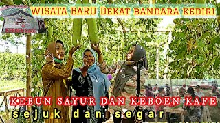 WISATA BARU DEKAT BANDARA KEDIRI : KEBUN SAYUR  DAN  KEBUN CAFE | Adem dan seger sob..!