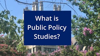 What is Public Policy Studies?