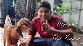 എൻ്റെ വീട്ടിലെ ആട് ഞങ്ങളുടെ കാദർ:Mr.Kadhar- Pet from my House epi-3  #goatfrommyhome  #petlover #ആട്