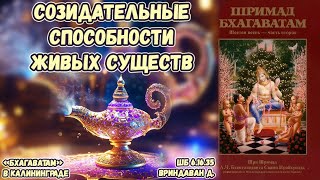 Созидательные способности живых существ. Вриндаван д. ШБ 6.16.35