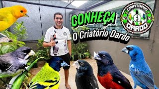 Tour pelo CRIATÓRIO DARDO e sua Criação Fantástica