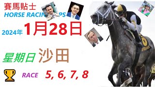 「賽馬貼士」🐴  2023 年 1 月 28 日 沙田🐴    香港賽馬貼士  HONG KONG HORSE RACING TIPS  🐴 RACE  5  6 7  8