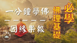 One Minute Buddhism 丨Cause and Effect Karma - Essential Wisdom for Buddhist Beginners