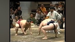 Sumo Wrestling (Japanese) #japansumo